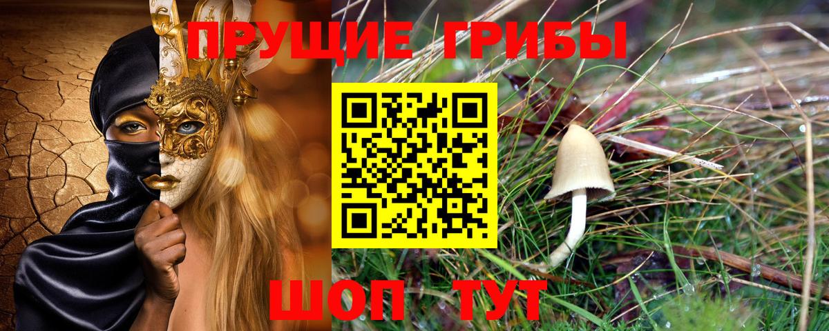 Донецк  Галлюциногенные грибы MAGIC MUSHROOMS  Вход с VPN 