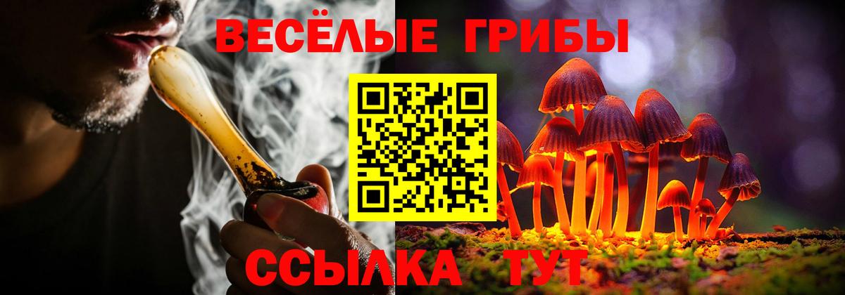 Галлюциногенные грибы Magic Shrooms Донецк